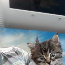 ���� ������, ������, 55 ��� - ��������� 22 ����� 2020