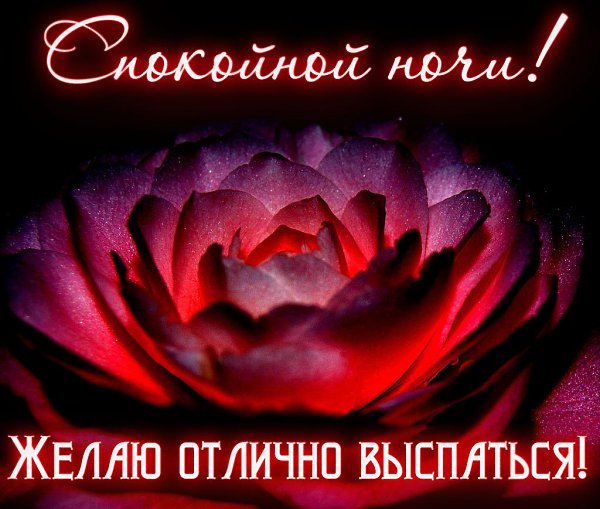   ,    . - 13  2020  21:14