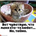 ���� ����, ������ - ��������� 20 ������ 2020 � ������ ������ ��������
