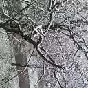 1 ������ �� ������� ������ ��������