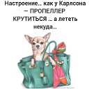 ���� �������� ���, ��������� - ��������� 2 ������ 2020 � ������ ������ ��������