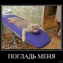 ���� Wolfgrey, �������, 42 ���� - ��������� 26 ������ 2020 � ������ �...�