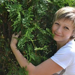 ����, ������, 49 ���