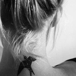 �������, �����