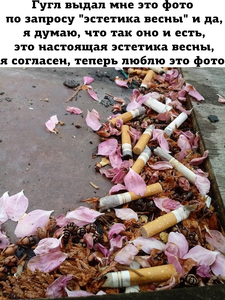  - 1  2020  18:55