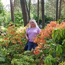  Franceska ...., , 61  -  7  2020    