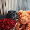 ���� ��������, ����������� - ��������� 6 ���� 2020 � ������ ���� ����������