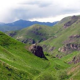 Amir, ����, 51 ���