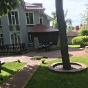 ���� ������, �������, 37 ��� - ��������� 12 ���� 2020 � ������ ���� ����������