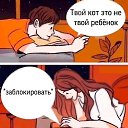  , , 36  -  21  2020    