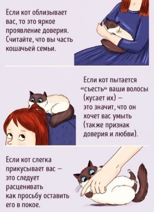    :   -  - 7