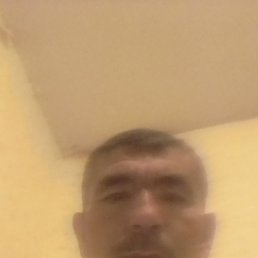 ���������, �����-���������, 49 ���