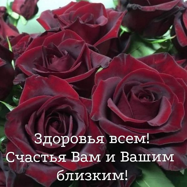   ,    . - 21  2020  16:57