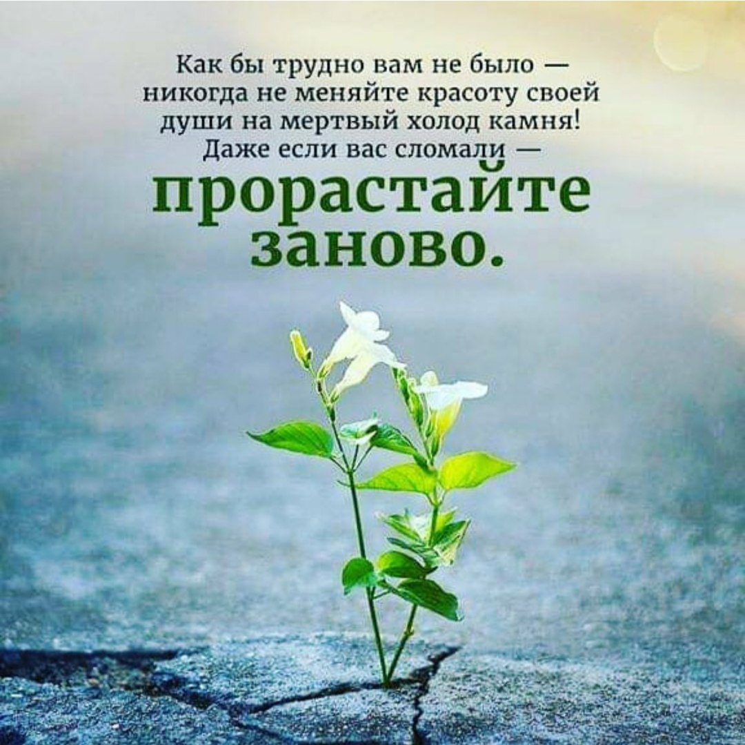Все, что происходит в нашей жизни — к лучшему. Иногда кажется — тупик, не получилось, не случилось, ...