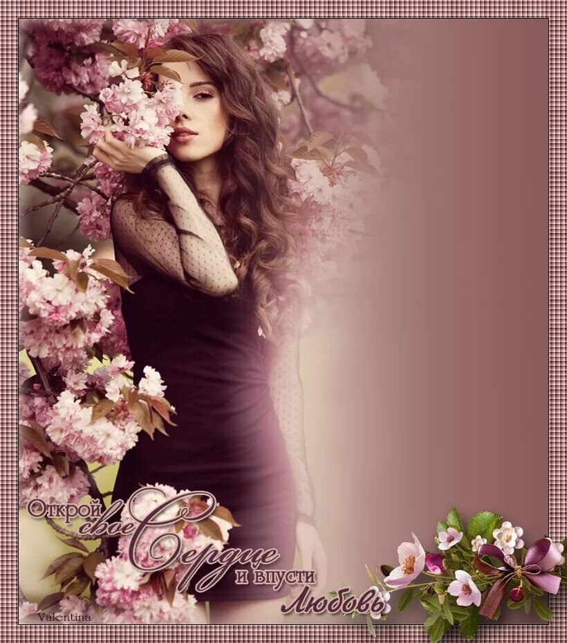 .     .   : ,    ... - 4