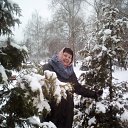  ,  , 67  -  11  2020    