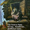 ���� ������, �����, 54 ���� - ��������� 27 ����� 2020 � ������ ���� ����������