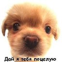     ,  -  14  2020    
