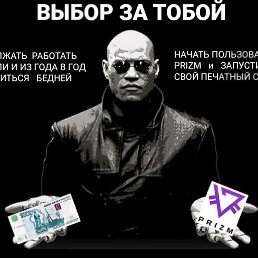 , , 44 