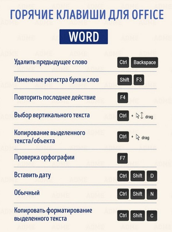 7     MS Office