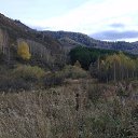 ���� ������, ����, 51 ��� - ��������� 15 ������ 2020 � ������ �������