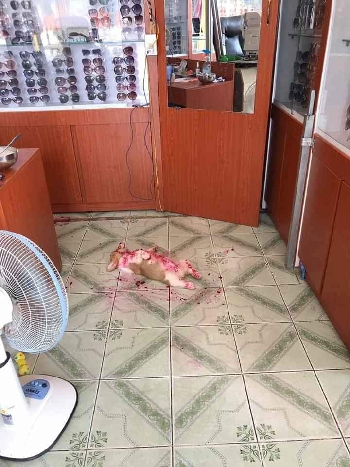    c..   y     )