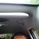 ���� ������, �����������, 45 ��� - ��������� 29 ���� 2020 � ������ ���� ����������