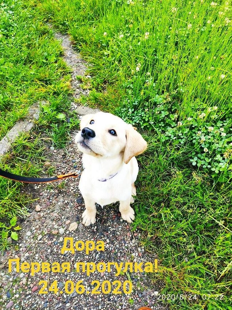   !    !  !