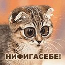 ���� �� �������� ������ ����, ������ - ��������� 10 ������� 2020 � ������ ���� ����������