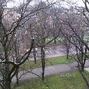 2 03 20 �� ������� ������ ��������