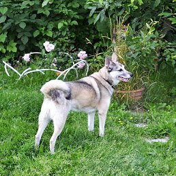 Svetlana, -