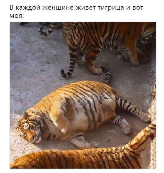  - 10  2020  10:44