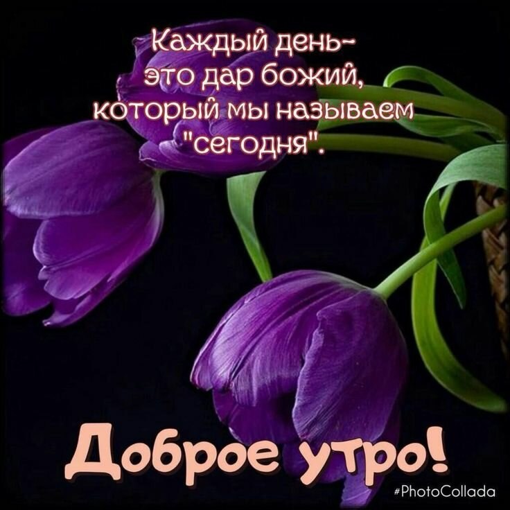   ,    . - 20  2020  00:08