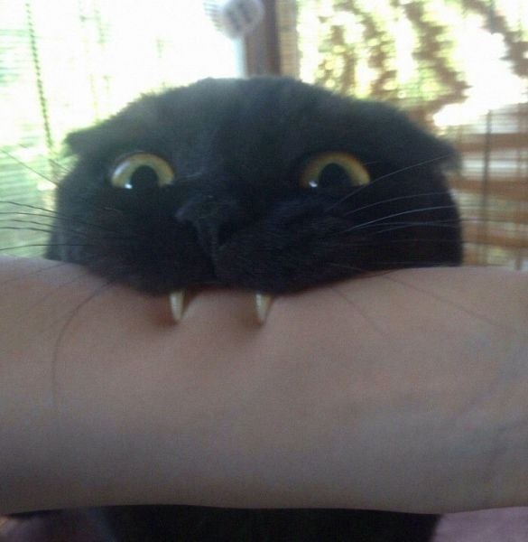      - 5
