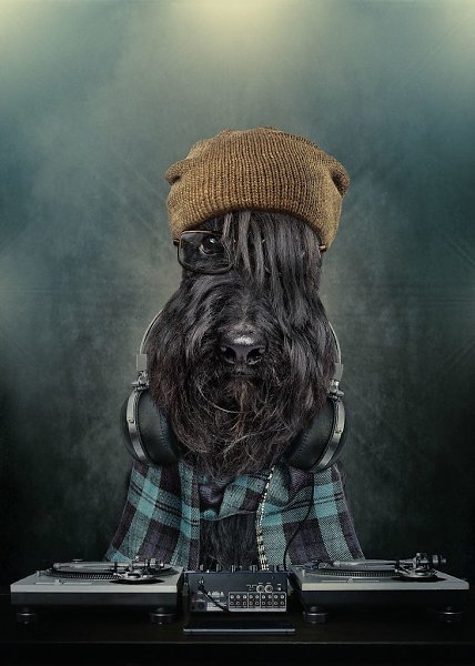 ������ - 30 ���� 2020 � 18:36