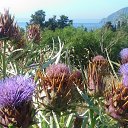 ,,,06.07.20. 11.20.    2020