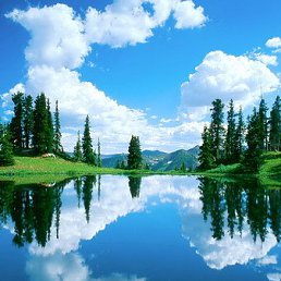 �����, ������-��-����, 42 ����