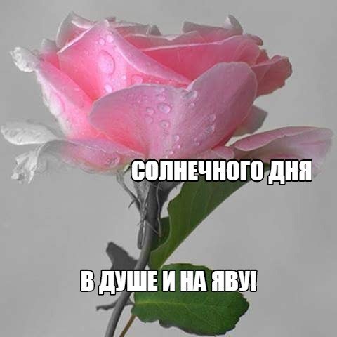   ,    . - 11  2020  20:06
