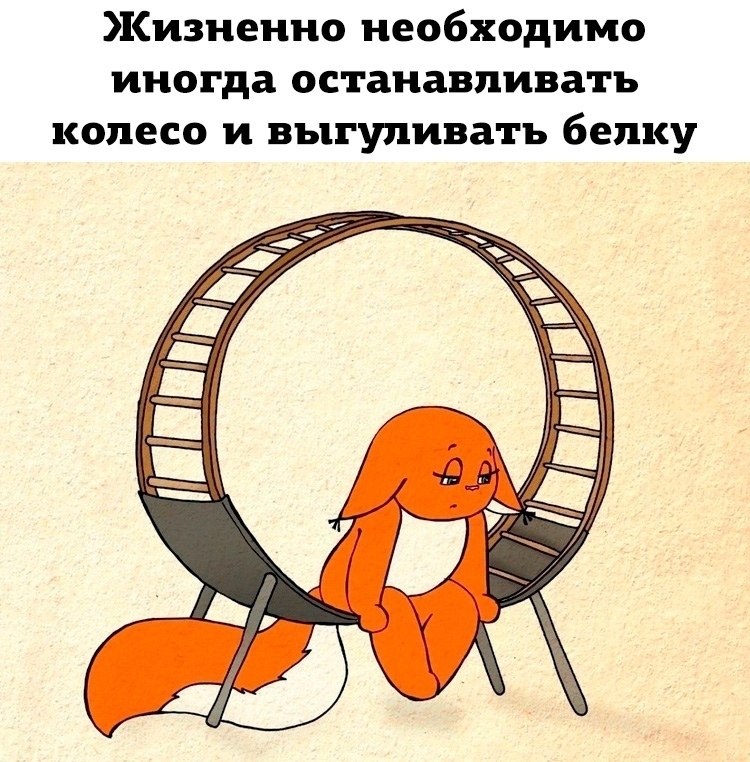 BEST | , ,  - 26  2020  19:06