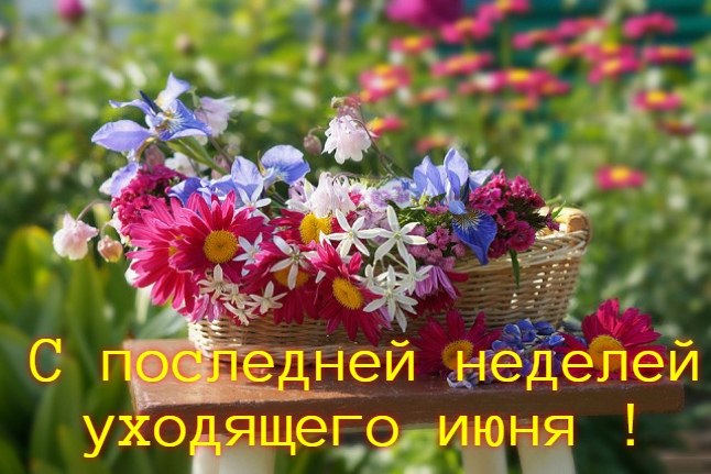   ,    . - 28  2020  12:13
