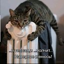 ���� ���������, ����������, 62 ���� - ��������� 3 ���� 2020 � ������ ���� ����������