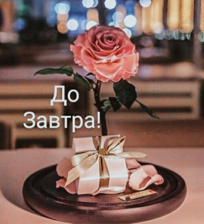   ,    . - 19  2020  22:02