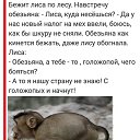 ���� ��������, �����-���������, 58 ��� - ��������� 17 ������� 2020 � ������ ������ ��������