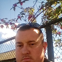 ����������, ������, 36 ���