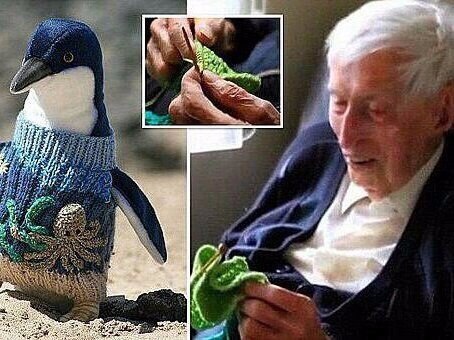 109-летний Альфи Дейт из Австралии вяжет крошечные свитера для поранившихся от разлива нефти ... - 7