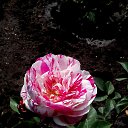  ,  -  3  2020     2020