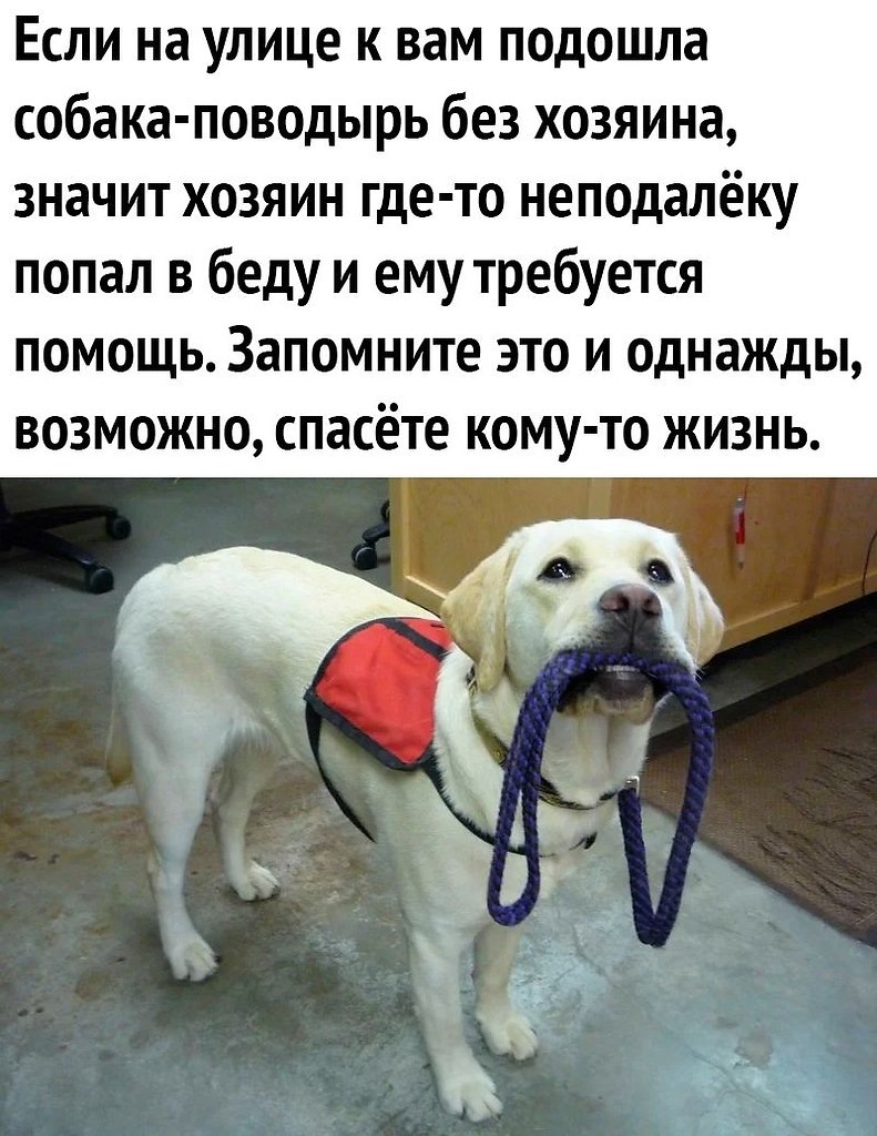 epu  !  opa!