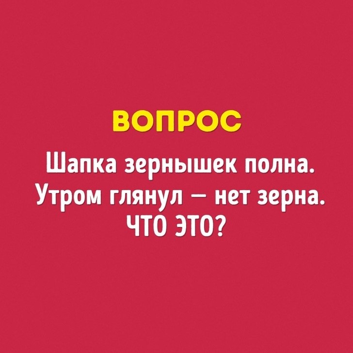 10 opoco, a oope e co oe ao o? e? oa? - 10