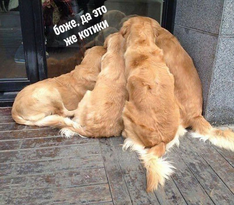      - 2