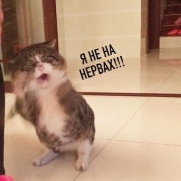     : - 3